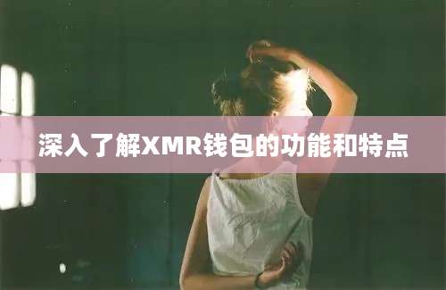 深入了解XMR钱包的功能和特点