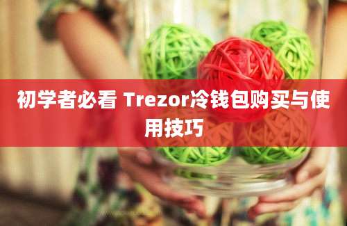 初学者必看 Trezor冷钱包购买与使用技巧