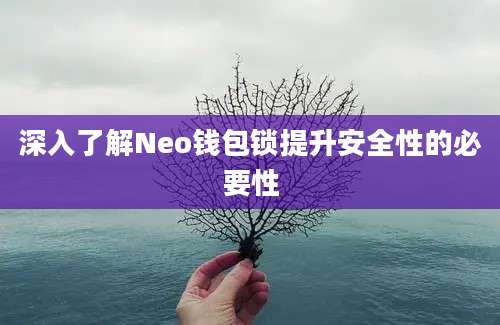 深入了解Neo钱包锁提升安全性的必要性