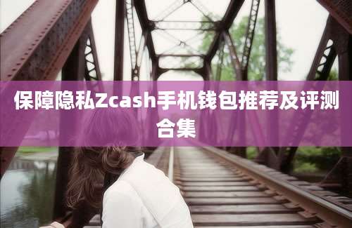 保障隐私Zcash手机钱包推荐及评测合集