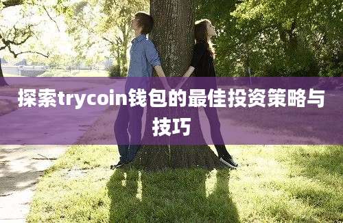 探索trycoin钱包的最佳投资策略与技巧