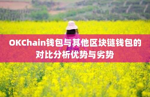 OKChain钱包与其他区块链钱包的对比分析优势与劣势