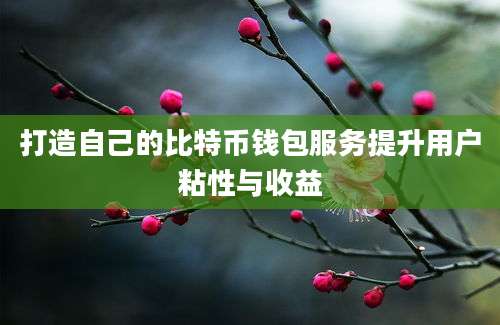 打造自己的比特币钱包服务提升用户粘性与收益