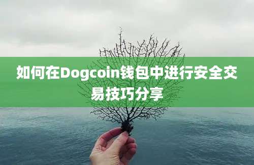 如何在Dogcoin钱包中进行安全交易技巧分享