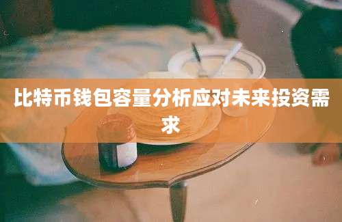 比特币钱包容量分析应对未来投资需求