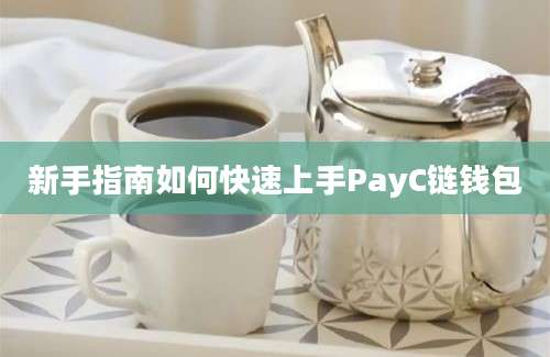 新手指南如何快速上手PayC链钱包