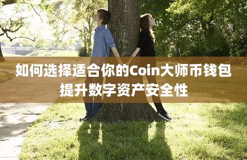 如何选择适合你的Coin大师币钱包提升数字资产安全性