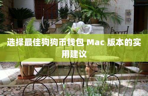 选择最佳狗狗币钱包 Mac 版本的实用建议