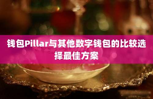 钱包Pillar与其他数字钱包的比较选择最佳方案