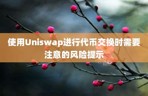 使用Uniswap进行代币交换时需要注意的风险提示