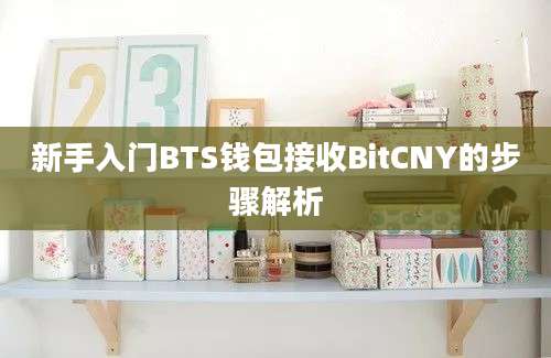 新手入门BTS钱包接收BitCNY的步骤解析