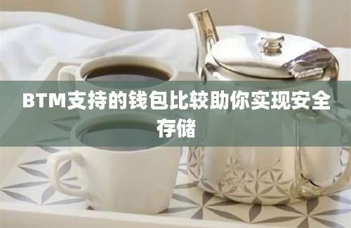 BTM支持的钱包比较助你实现安全存储