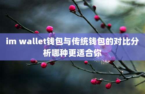 im wallet钱包与传统钱包的对比分析哪种更适合你