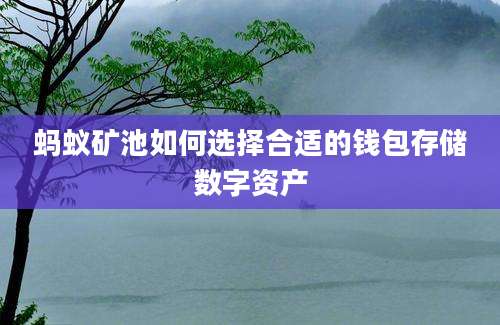 蚂蚁矿池如何选择合适的钱包存储数字资产