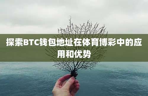 探索BTC钱包地址在体育博彩中的应用和优势