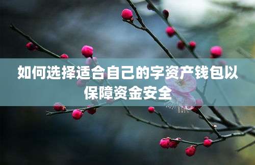 如何选择适合自己的字资产钱包以保障资金安全