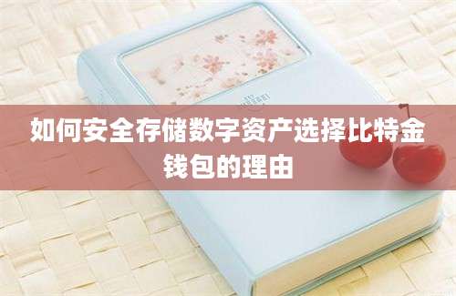 如何安全存储数字资产选择比特金钱包的理由