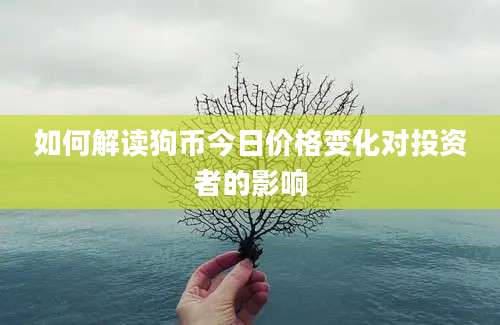 如何解读狗币今日价格变化对投资者的影响