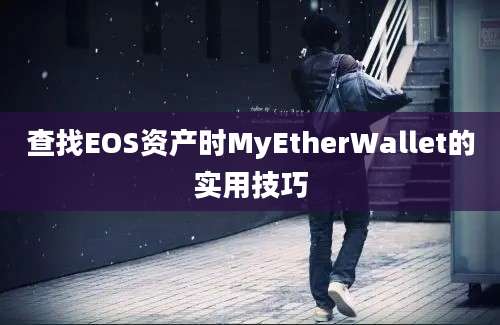 查找EOS资产时MyEtherWallet的实用技巧