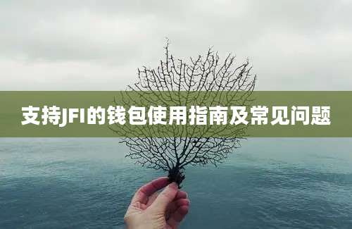 支持JFI的钱包使用指南及常见问题