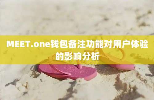 MEET.one钱包备注功能对用户体验的影响分析