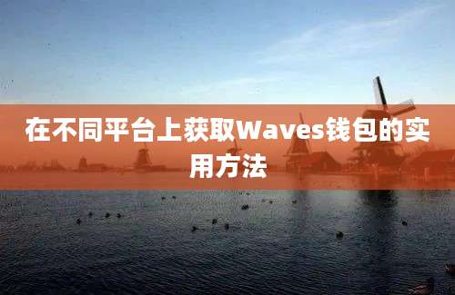 在不同平台上获取Waves钱包的实用方法