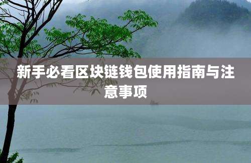 新手必看区块链钱包使用指南与注意事项